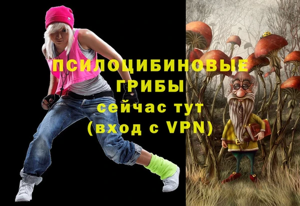альфа пвп Усинск